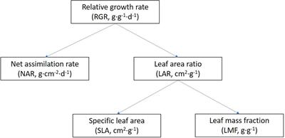 Dissecting the <mark class="highlighted">Genotypic Variation</mark> of Growth Responses to Far-Red Radiation in Tomato